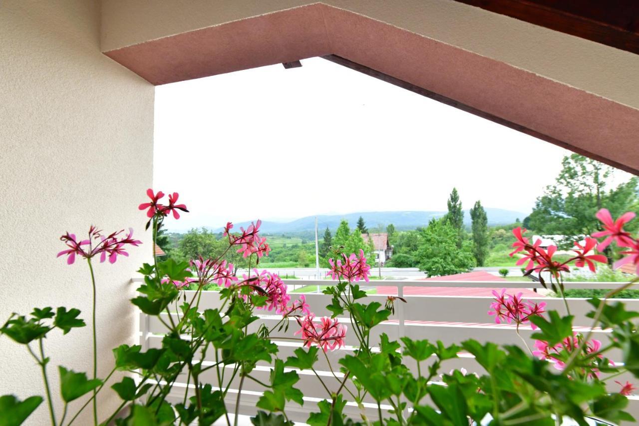 Hotel House Bela vido Drežnik Grad Exterior foto